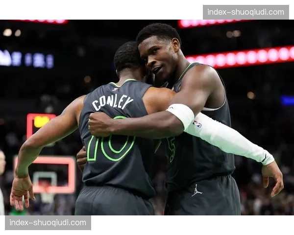 森林狼单打战术体系评估：爱德华兹与兰德尔进攻权重分配